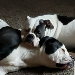 Meet your Posher, Darlene